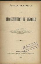 Études pratiques sur la reconstitution du vignoble